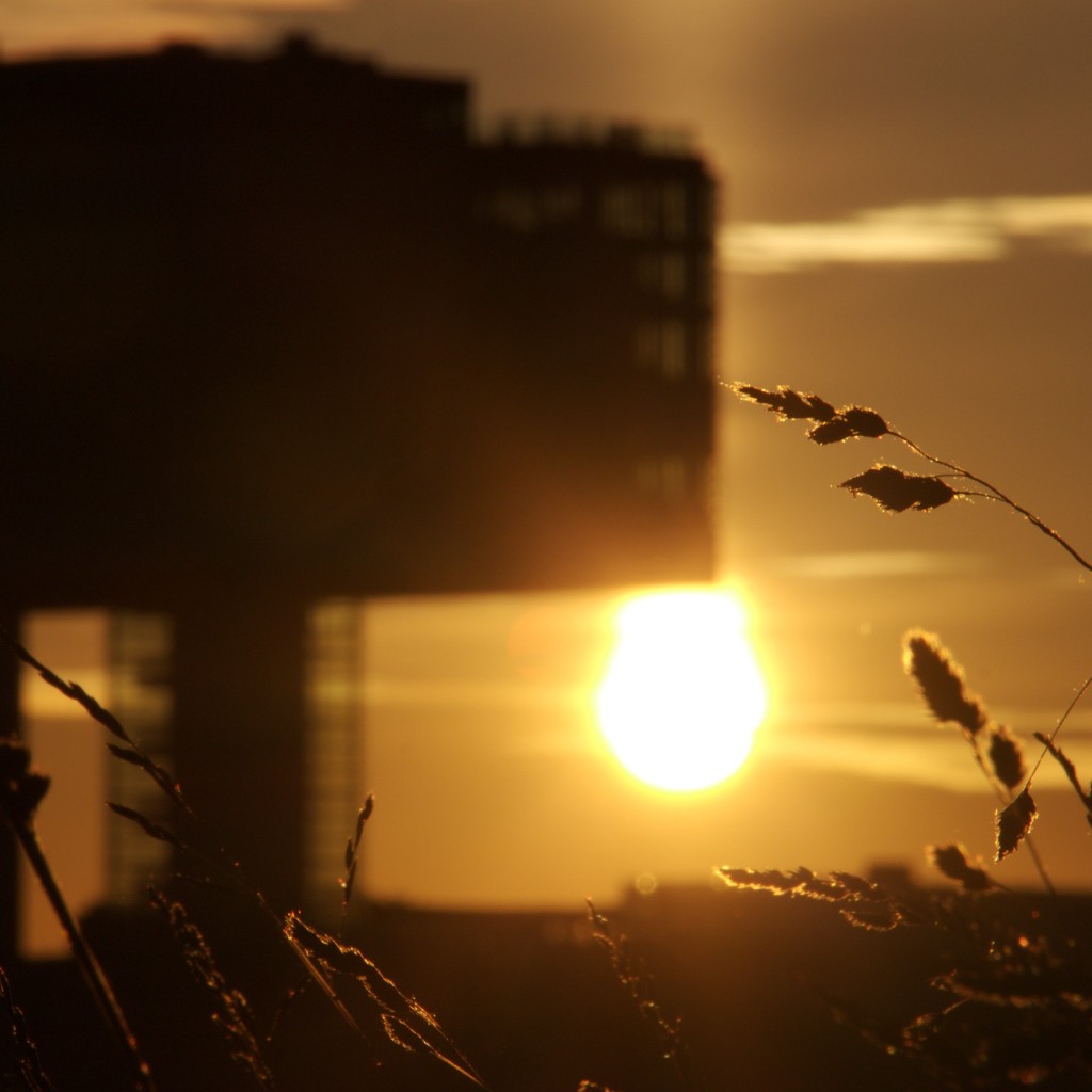 Sonnenuntergang hinter dem Rheinauhafen, Köln