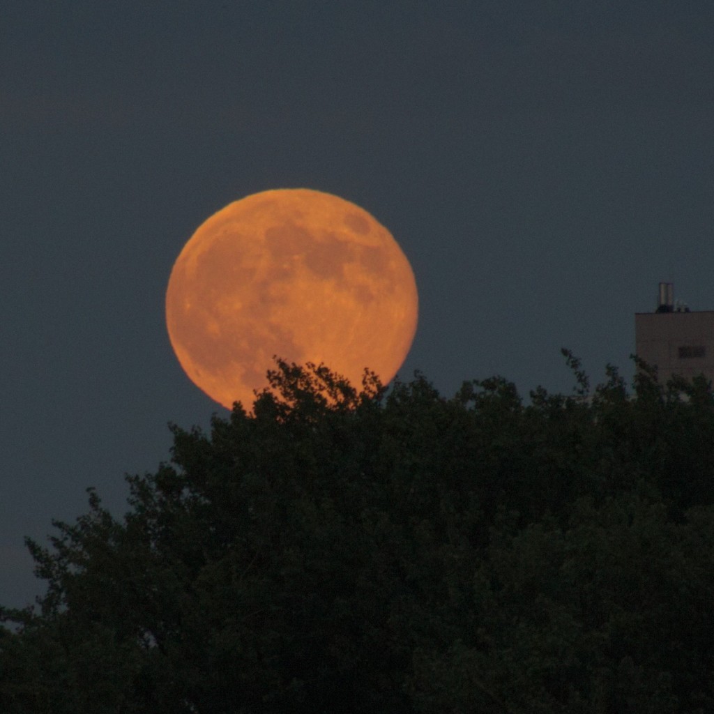 Supermond über Köln