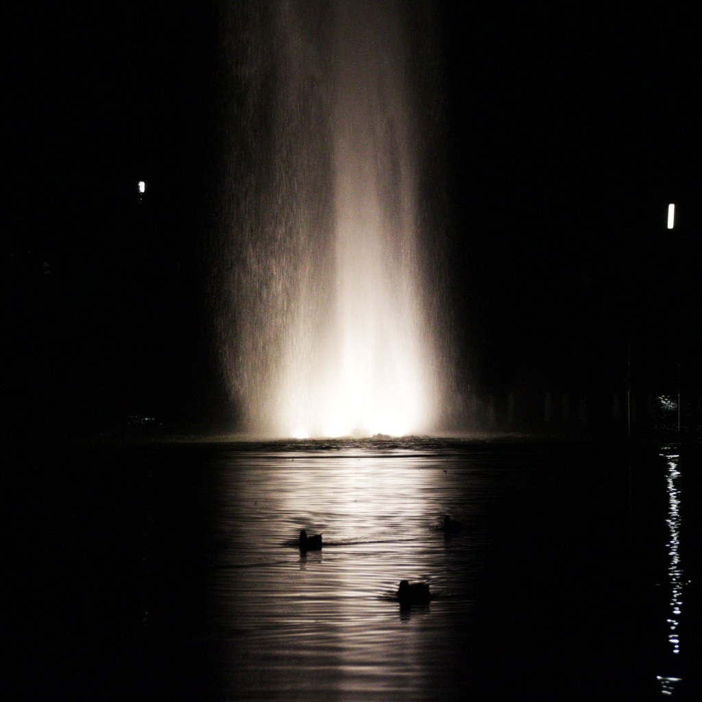 Hamburg, Wasserlichtkonzert, Planten un Blomen, Park